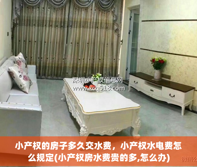 小产权的房子多久交水费，小产权水电费怎么规定(小产权房水费贵的多,怎么办)