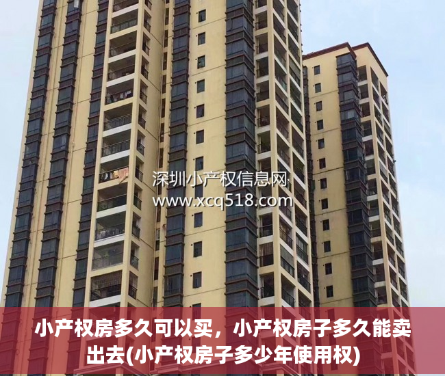 小产权房多久可以买，小产权房子多久能卖出去(小产权房子多少年使用权)