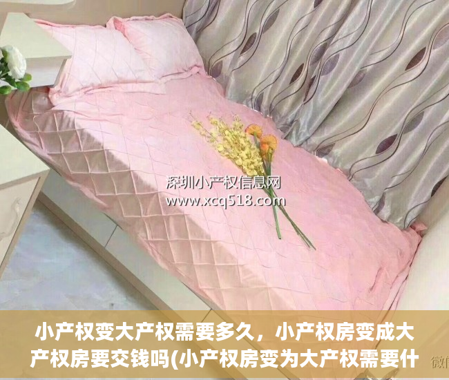 小产权变大产权需要多久，小产权房变成大产权房要交钱吗(小产权房变为大产权需要什么手续资料?)