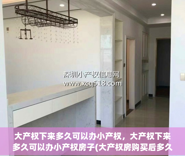 大产权下来多久可以办小产权，大产权下来多久可以办小产权房子(大产权房购买后多久可以卖)