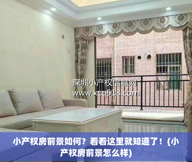 小产权房前景如何？看看这里就知道了！(小产权房前景怎么样)
