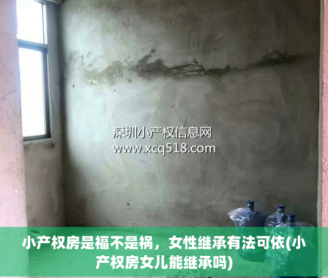 小产权房是福不是祸，女性继承有法可依(小产权房女儿能继承吗)