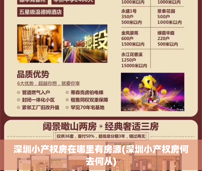 深圳小产权房在哪里有房源(深圳小产权房何去何从)