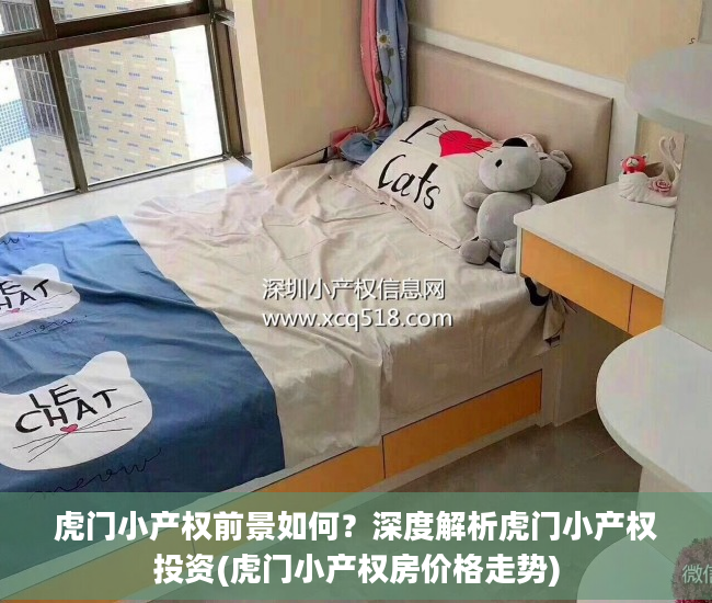 虎门小产权前景如何？深度解析虎门小产权投资(虎门小产权房价格走势)