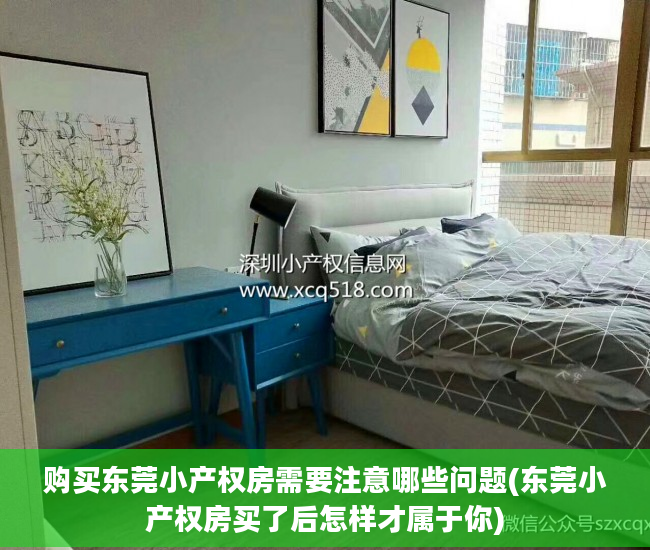 购买东莞小产权房需要注意哪些问题(东莞小产权房买了后怎样才属于你)