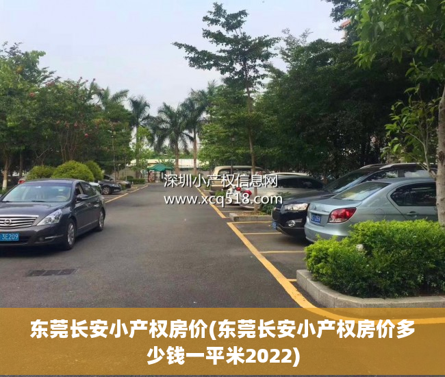 东莞长安小产权房价(东莞长安小产权房价多少钱一平米2022)