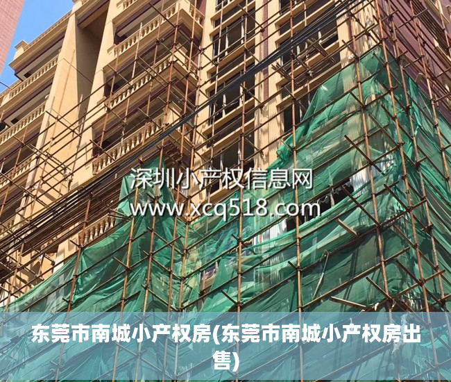 东莞市南城小产权房(东莞市南城小产权房出售)