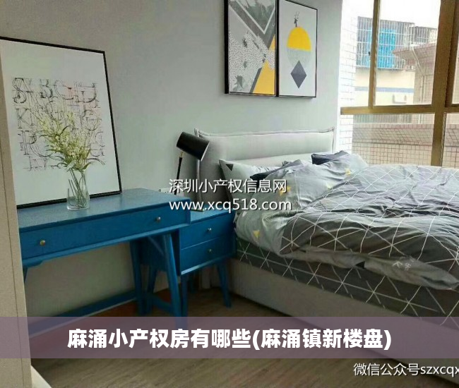 麻涌小产权房有哪些(麻涌镇新楼盘)