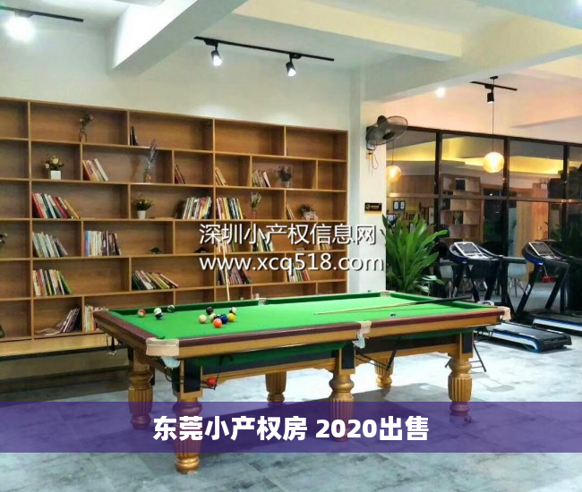 东莞小产权房 2020出售