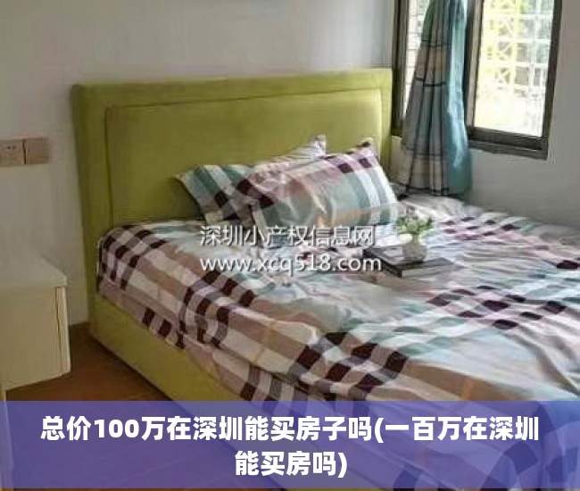 总价100万在深圳能买房子吗(一百万在深圳能买房吗)