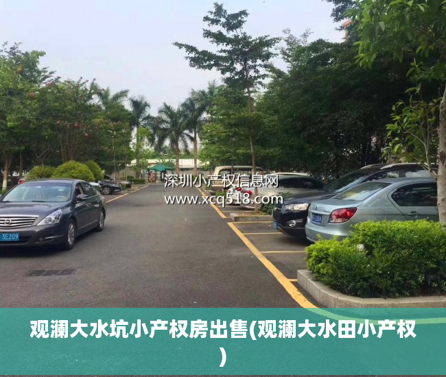 观澜大水坑小产权房出售(观澜大水田小产权)