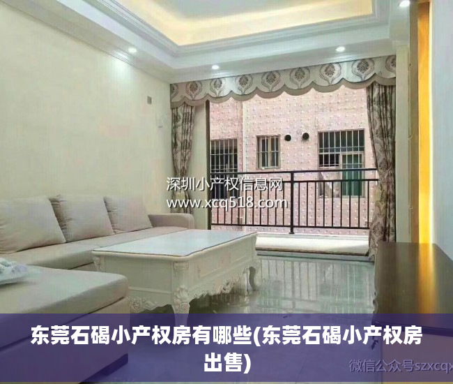 东莞石碣小产权房有哪些(东莞石碣小产权房出售)