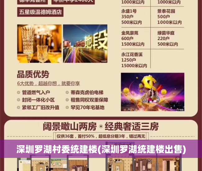 深圳罗湖村委统建楼(深圳罗湖统建楼出售)