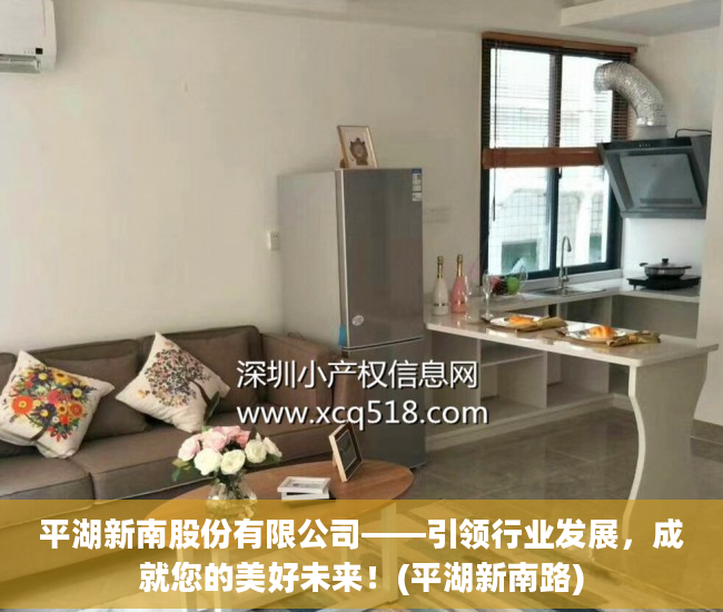 平湖新南股份有限公司——引领行业发展，成就您的美好未来！(平湖新南路)