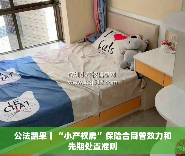 公法蔬果丨“小产权房”保险合同曾效力和先期处置准则