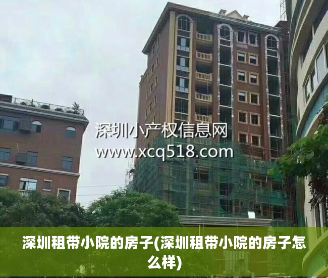 深圳租带小院的房子(深圳租带小院的房子怎么样)