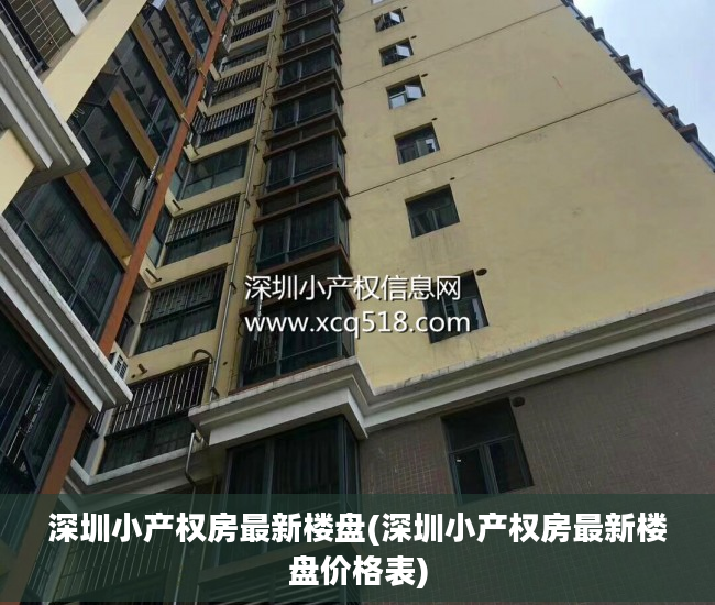 深圳小产权房最新楼盘(深圳小产权房最新楼盘价格表)