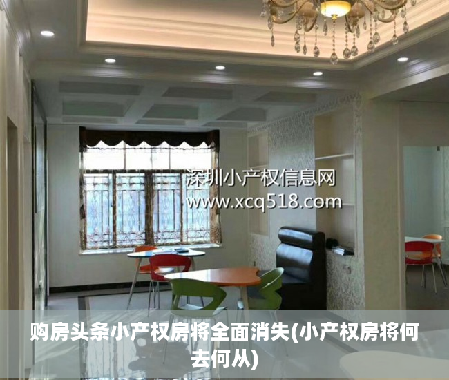购房头条小产权房将全面消失(小产权房将何去何从)
