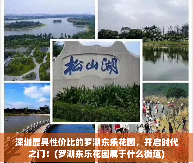 深圳最具性价比的罗湖东乐花园，开启时代之门！(罗湖东乐花园属于什么街道)