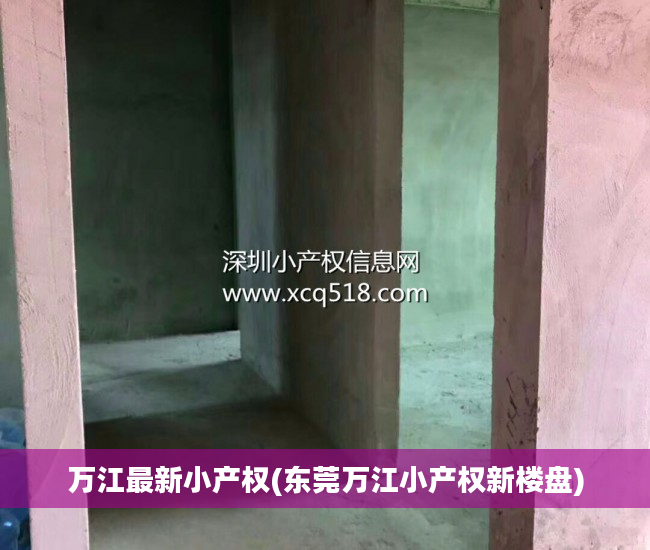 万江最新小产权(东莞万江小产权新楼盘)