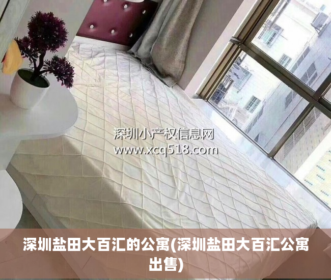 深圳盐田大百汇的公寓(深圳盐田大百汇公寓出售)