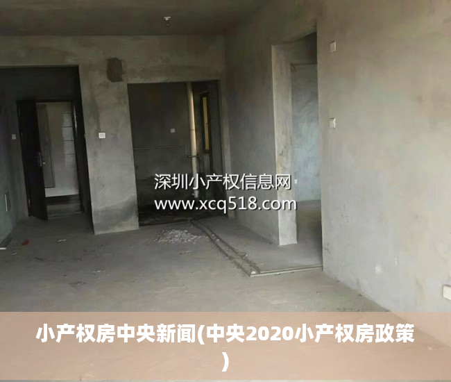 小产权房中央新闻(中央2020小产权房政策)