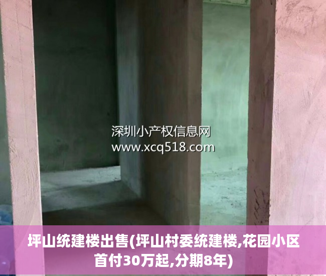 坪山统建楼出售(坪山村委统建楼,花园小区首付30万起,分期8年)