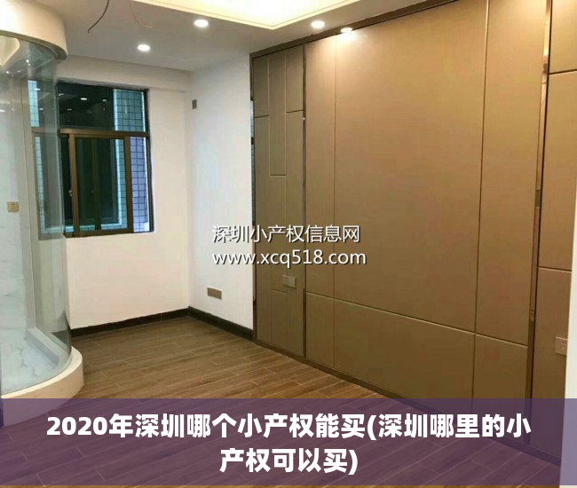 2020年深圳哪个小产权能买(深圳哪里的小产权可以买)