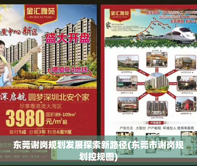 东莞谢岗规划发展探索新路径(东莞市谢岗规划控规图)
