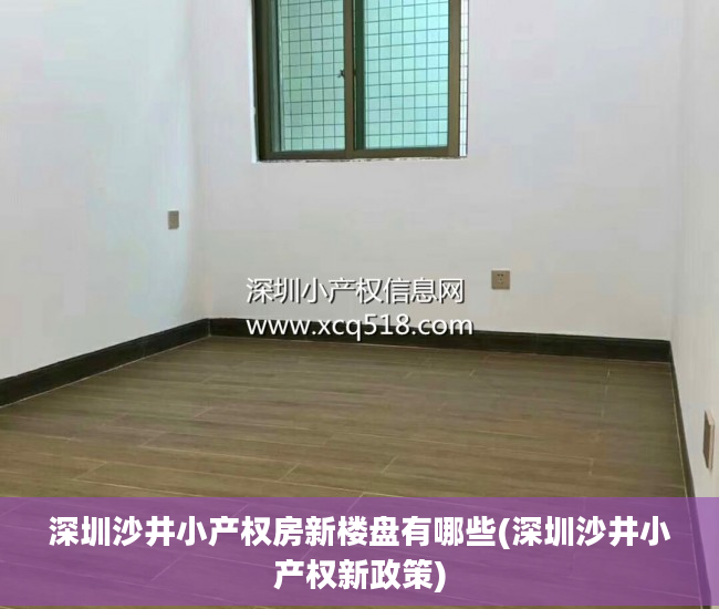深圳沙井小产权房新楼盘有哪些(深圳沙井小产权新政策)