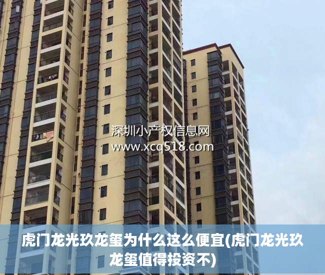 虎门龙光玖龙玺为什么这么便宜(虎门龙光玖龙玺值得投资不)