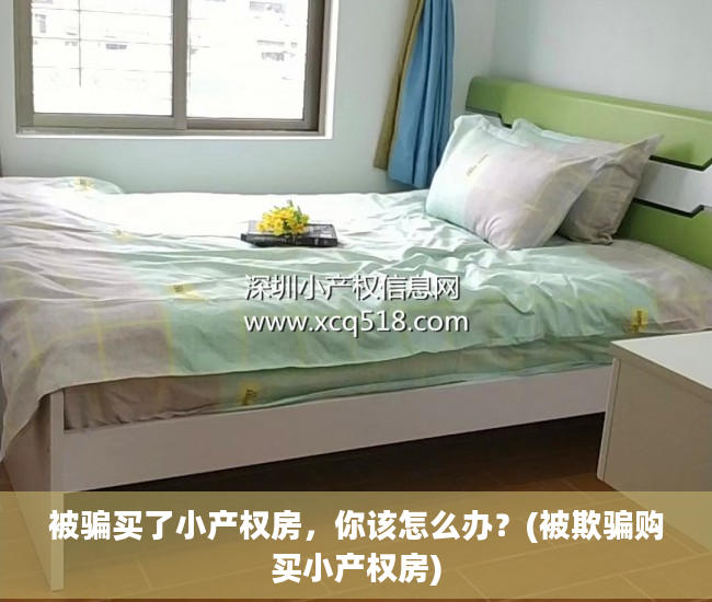 被骗买了小产权房，你该怎么办？(被欺骗购买小产权房)