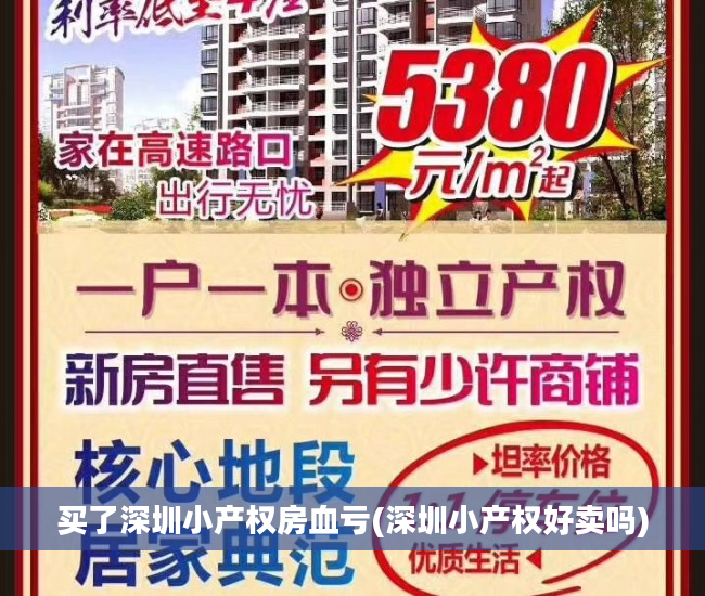 买了深圳小产权房血亏(深圳小产权好卖吗)