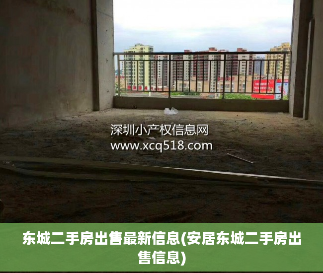 东城二手房出售最新信息(安居东城二手房出售信息)