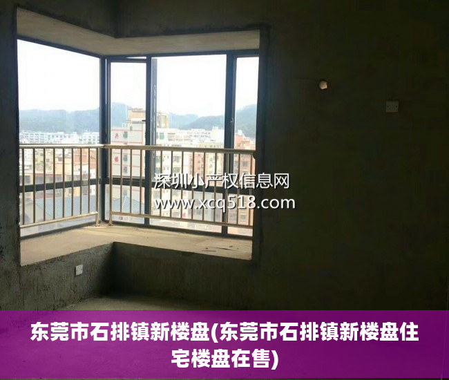 东莞市石排镇新楼盘(东莞市石排镇新楼盘住宅楼盘在售)