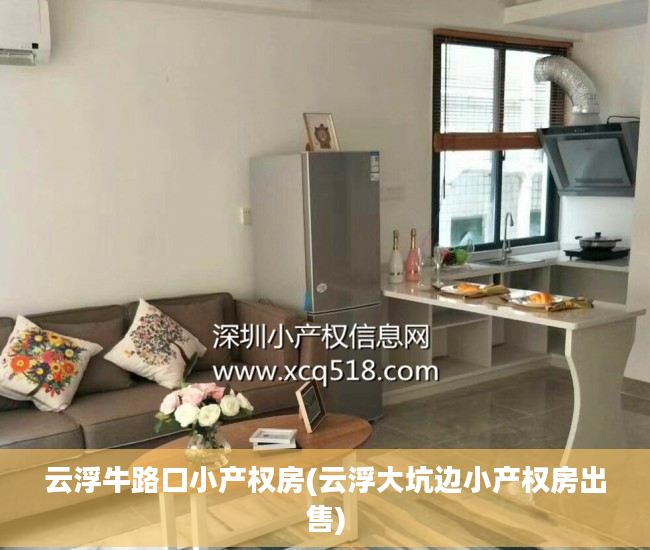 云浮牛路口小产权房(云浮大坑边小产权房出售)