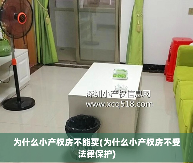 为什么小产权房不能买(为什么小产权房不受法律保护)