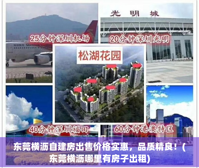 东莞横沥自建房出售价格实惠，品质精良！(东莞横沥哪里有房子出租)