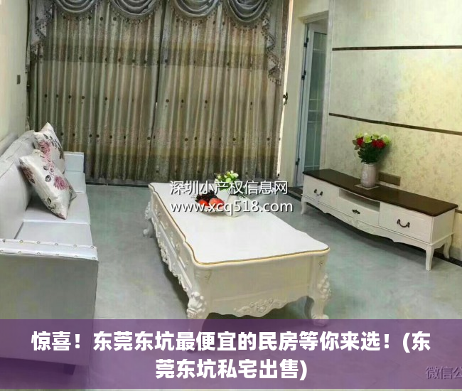 惊喜！东莞东坑最便宜的民房等你来选！(东莞东坑私宅出售)