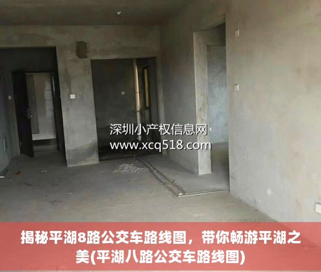 揭秘平湖8路公交车路线图，带你畅游平湖之美(平湖八路公交车路线图)