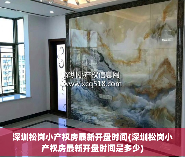 深圳松岗小产权房最新开盘时间(深圳松岗小产权房最新开盘时间是多少)