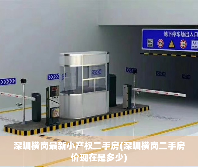 深圳横岗最新小产权二手房(深圳横岗二手房价现在是多少)