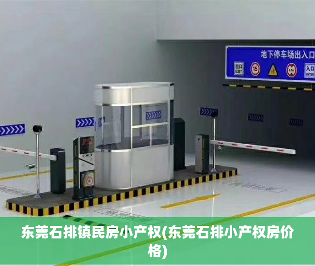 东莞石排镇民房小产权(东莞石排小产权房价格)