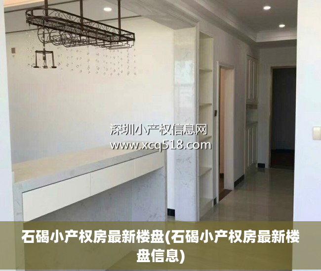 石碣小产权房最新楼盘(石碣小产权房最新楼盘信息)