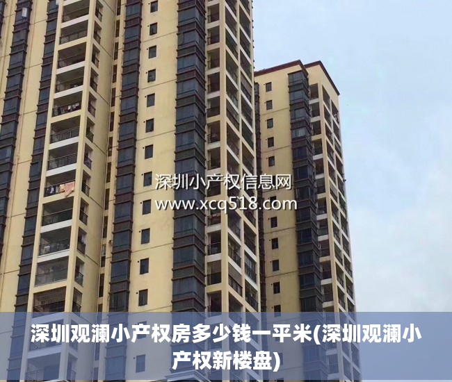 深圳观澜小产权房多少钱一平米(深圳观澜小产权新楼盘)