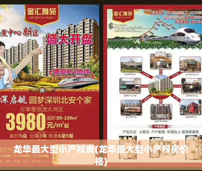 龙华最大型小产权房(龙华最大型小产权房价格)