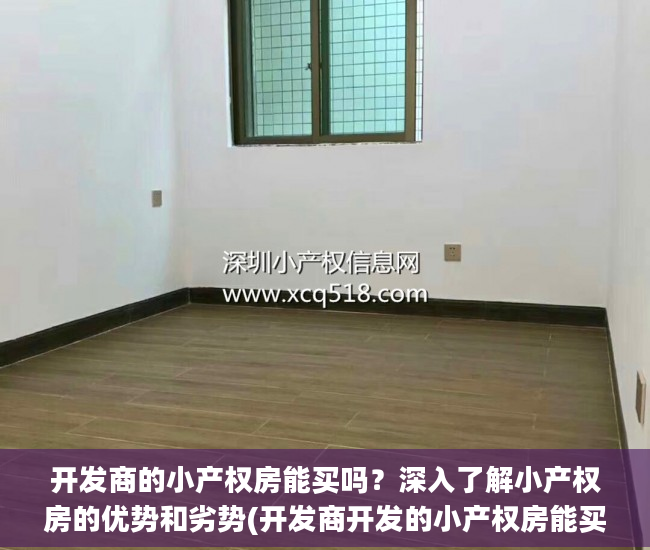 开发商的小产权房能买吗？深入了解小产权房的优势和劣势(开发商开发的小产权房能买吗)