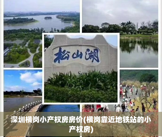 深圳横岗小产权房房价(横岗靠近地铁站的小产权房)