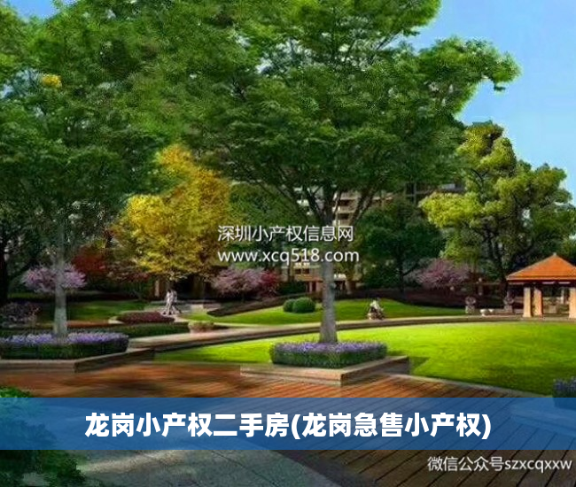 龙岗小产权二手房(龙岗急售小产权)