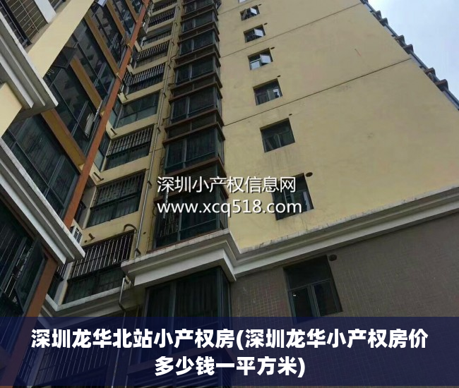 深圳龙华北站小产权房(深圳龙华小产权房价多少钱一平方米)